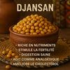 Djansang